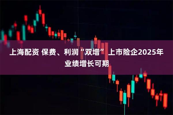 上海配资 保费、利润“双增” 上市险企2025年业绩增长可期