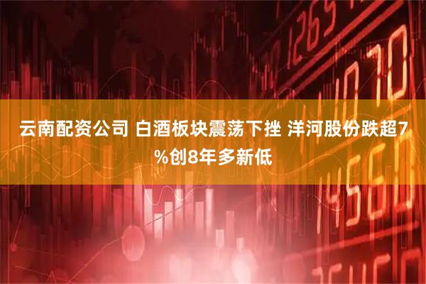 云南配资公司 白酒板块震荡下挫 洋河股份跌超7%创8年多新低